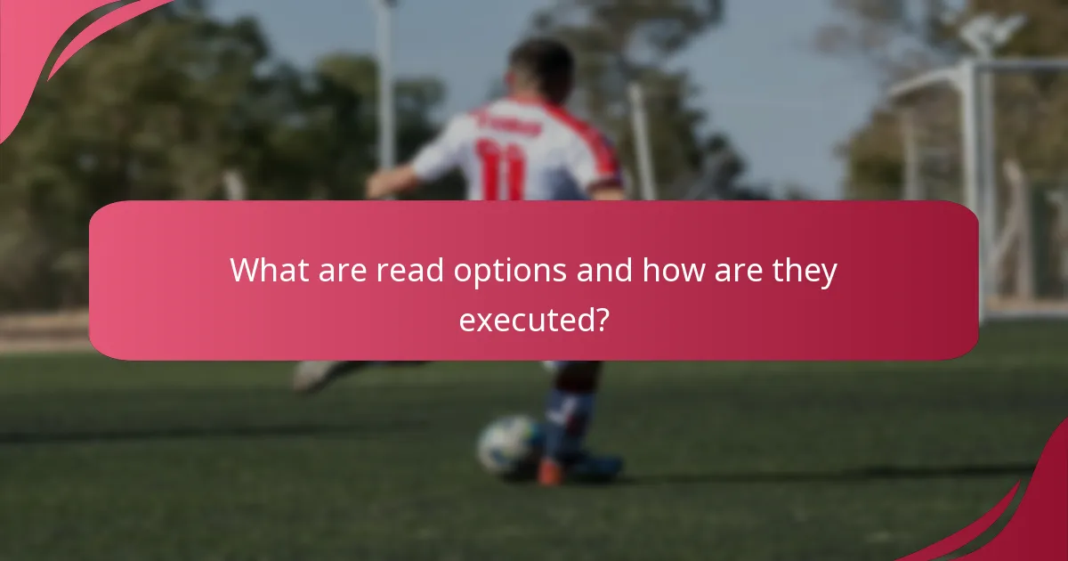 What are read options and how are they executed?