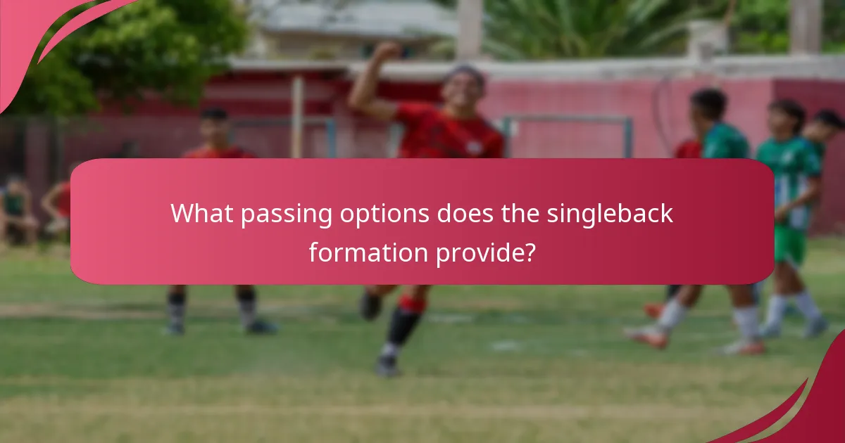 What passing options does the singleback formation provide?